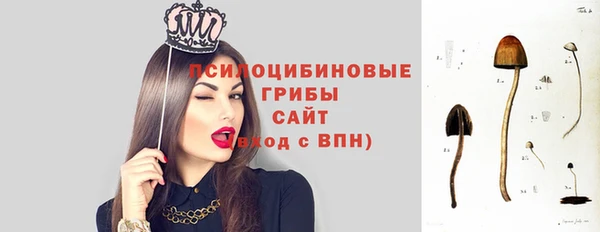 MDMA Premium VHQ Верхнеуральск