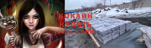 стаф Богородицк
