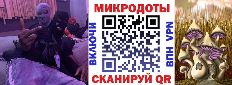 Псилоцибиновые грибы Cubensis  Исилькуль 